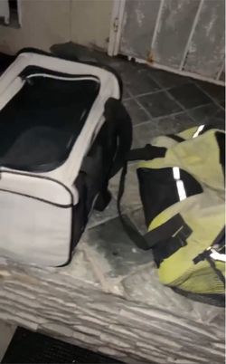 Pet carriers with accessories