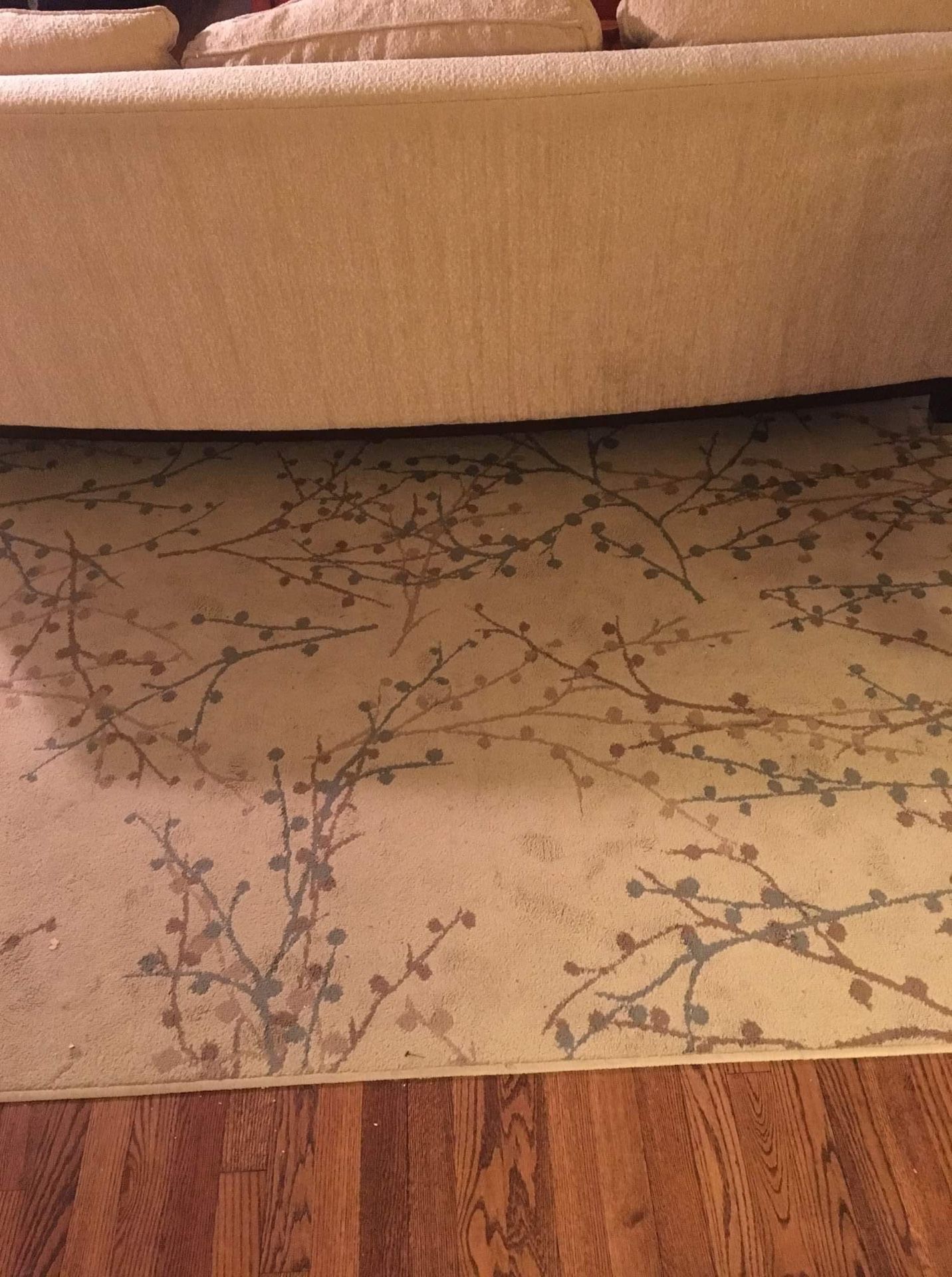 Tan Patterned Area Rug