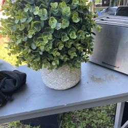 Modern Greenery Decor 