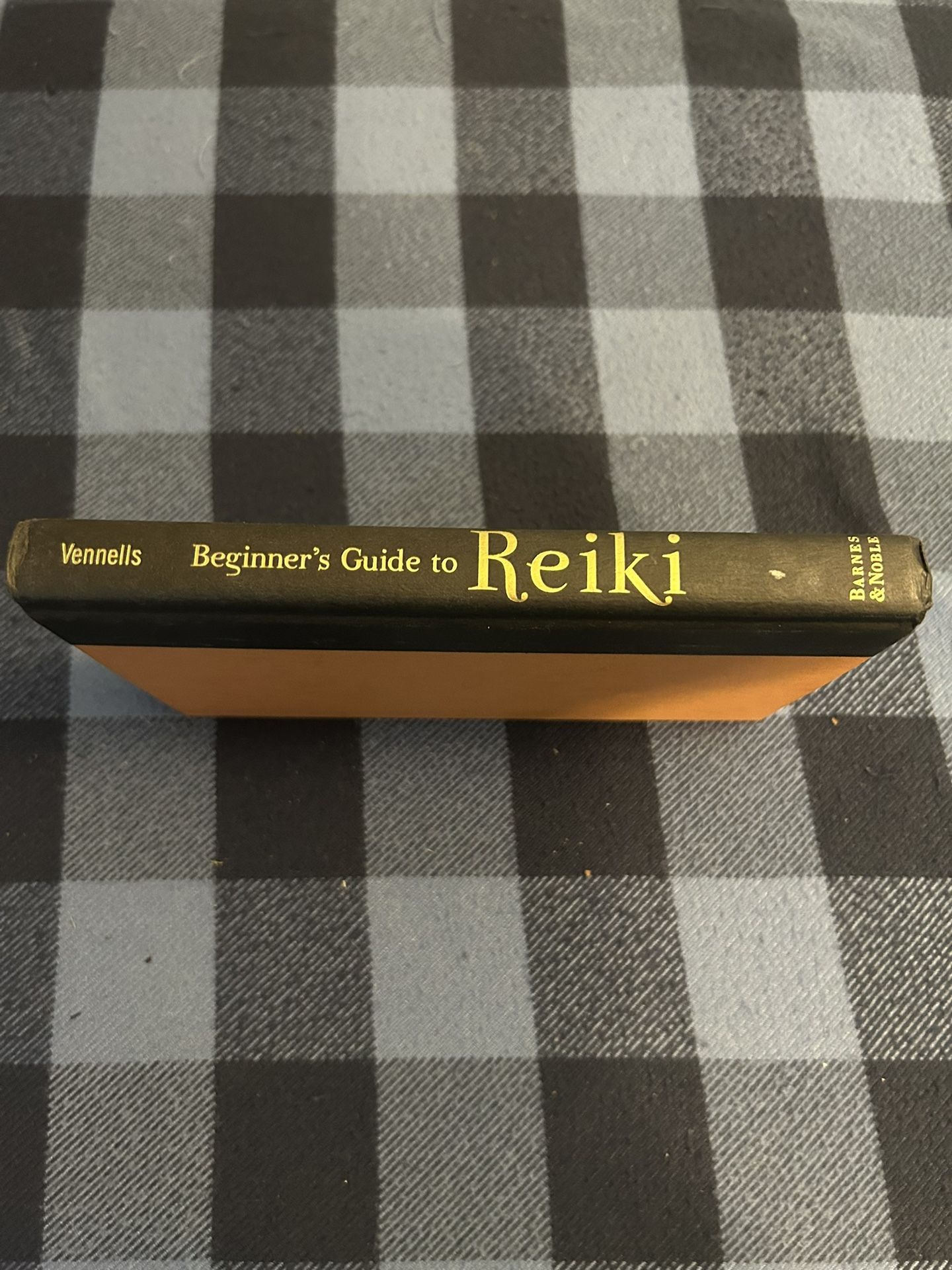 Beginners Guide To Reiki Book