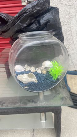 Fish Bowl