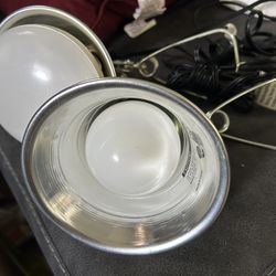 Spotlight 