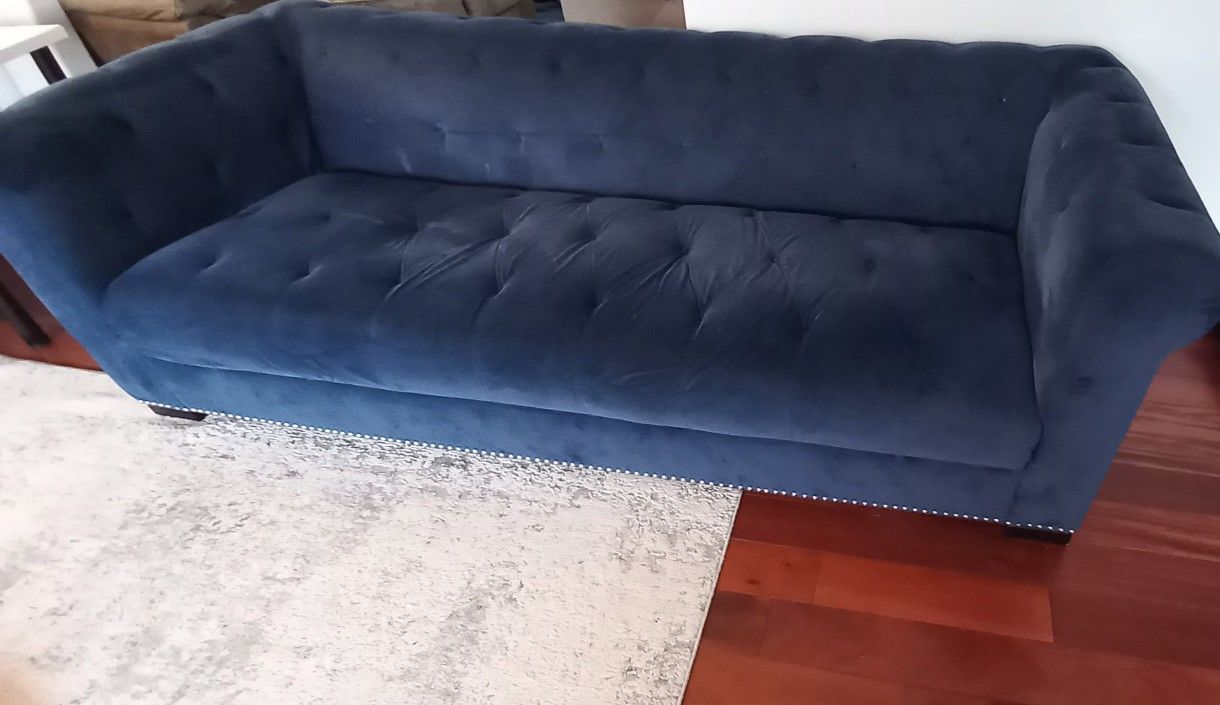 Velvet Blue Couch