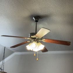 Ceiling Fan