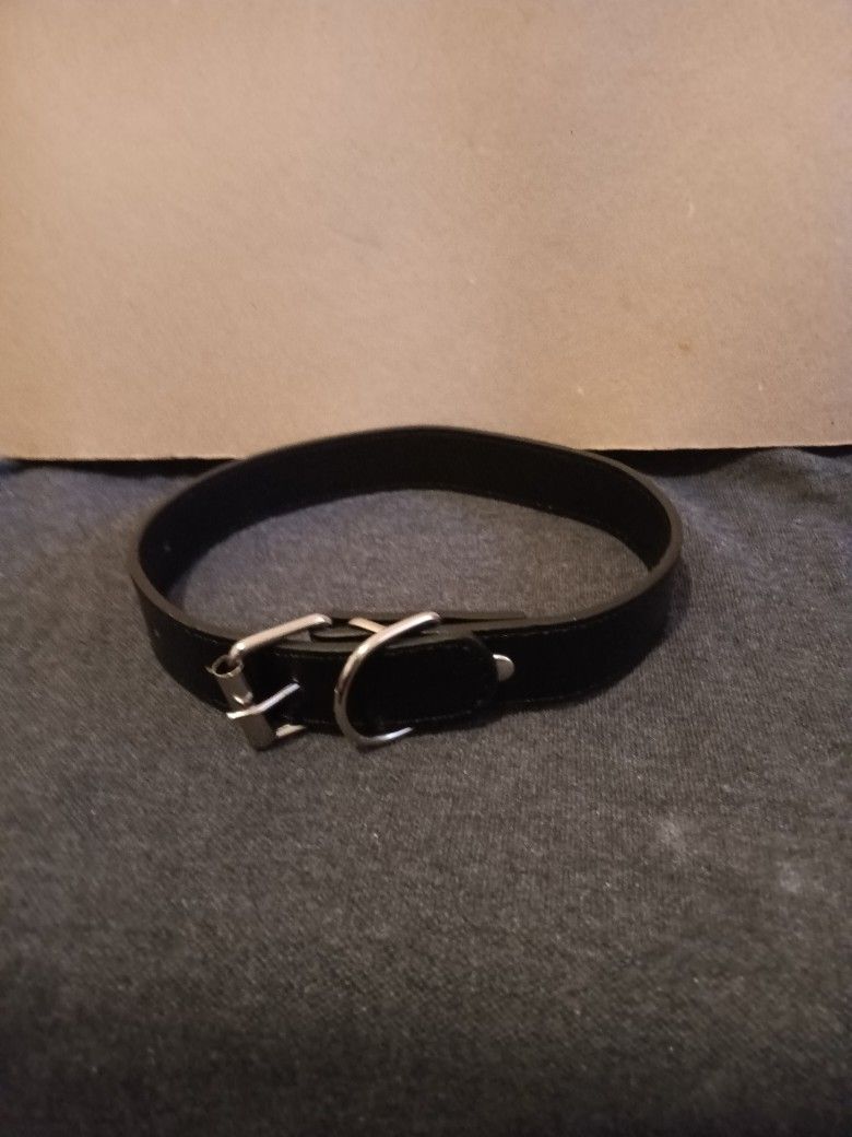 XL Dog Collars