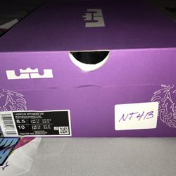 Size 8.5 And Size 9 Nike Lebron James Witness VIII