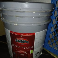 Gallon Paint-white