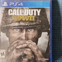 Call Of Duty WWII Ps4 