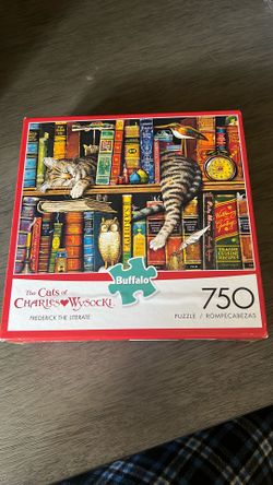 Library Cat Puzzle
