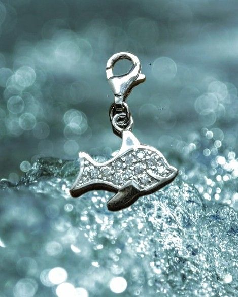 925 Sterling Silver Double Sided Dolphin Charm
