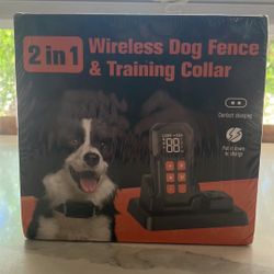 Training Dog Collar 