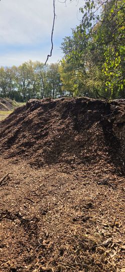 Much , wood chips