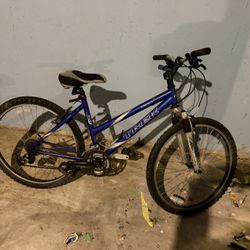 17 Inch Trek  Mountain Bike