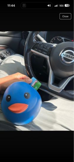 Blue duck squeeezy
