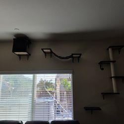 Cat Wall Shelffs