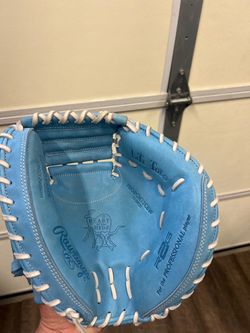 Catchers Glove