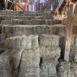 Local Orchard Field Grass Hay Bales