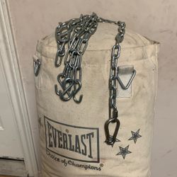 Everlast punching Bag 