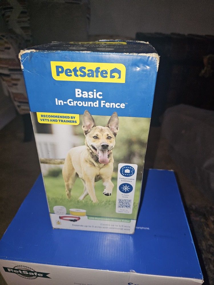 In Ground Dog Fence