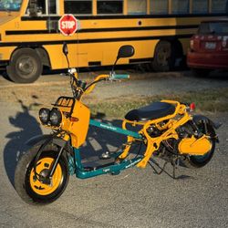 2013 Honda Ruckus
