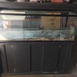 55 Gallon Fish Tank