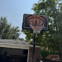 Basketball Hoop