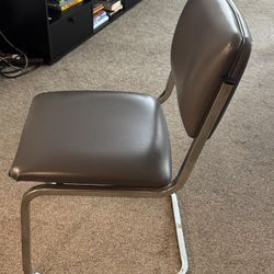 Home / Office Chair
