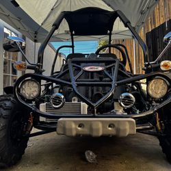 TRAILMASTER 300cc Buggy