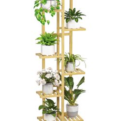 Plant/Book Shelf Stand