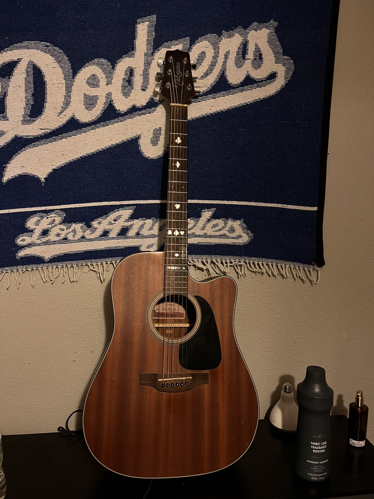 6 String Takamine