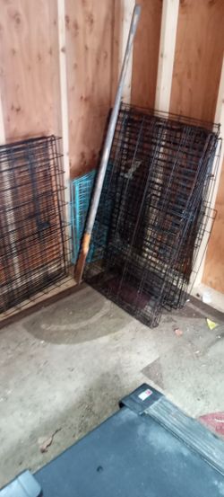 Dog Cages