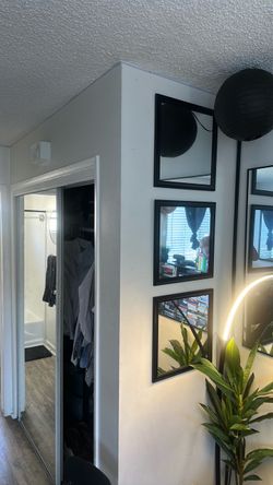 Mirror