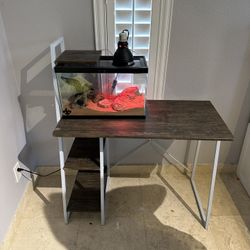 Kids Desk 