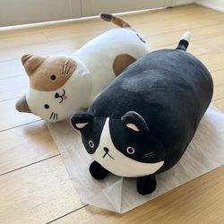 Cat Plush  Toys