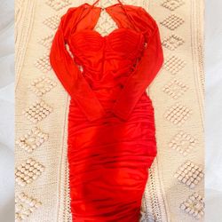 Mesh Long Sleeve Dress