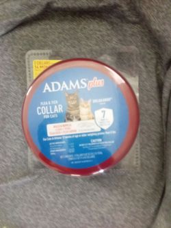 Cat collar