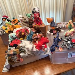 25 )   Retired Ty Beanie Babies GREAT PRICE! $70