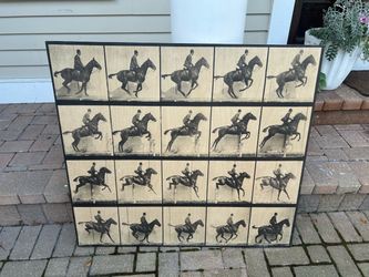 Horse locomotion on wood 36x40