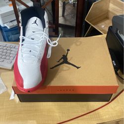 Air Jordan 12 Retro 'Cherry'