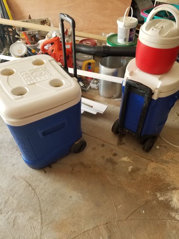 Cooler