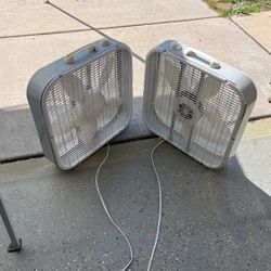Box Fans 