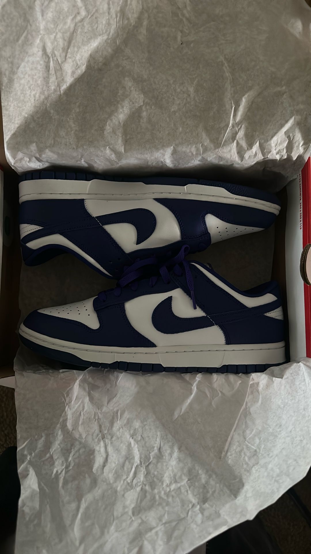 Brand New Blue Dunks Lows