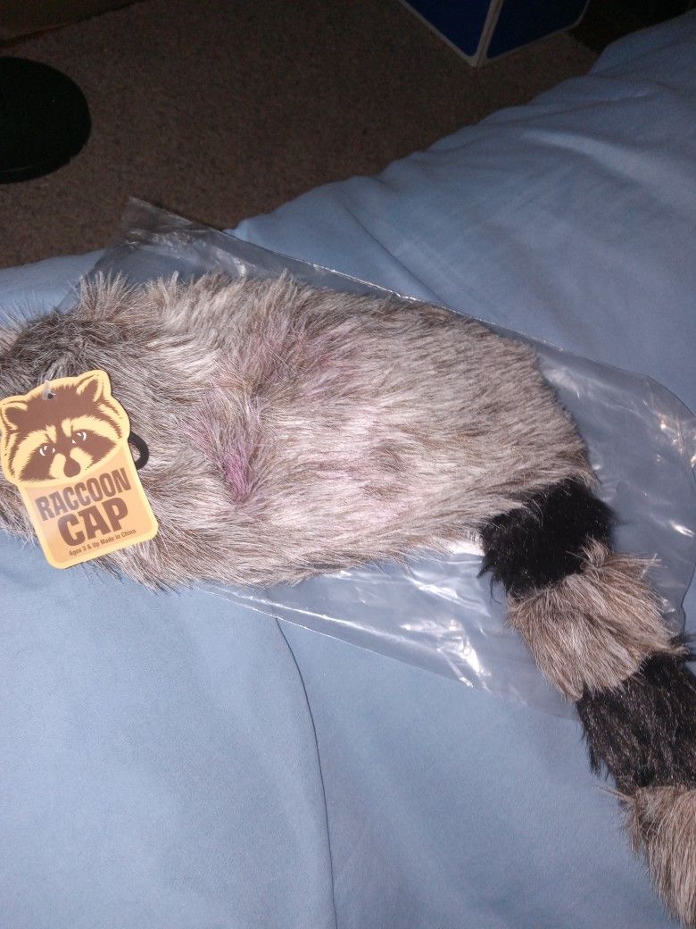 Raccoon Hat