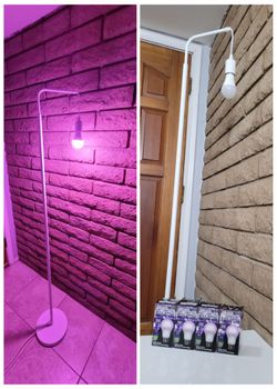 Grow Lamp with 4 Grow Lights