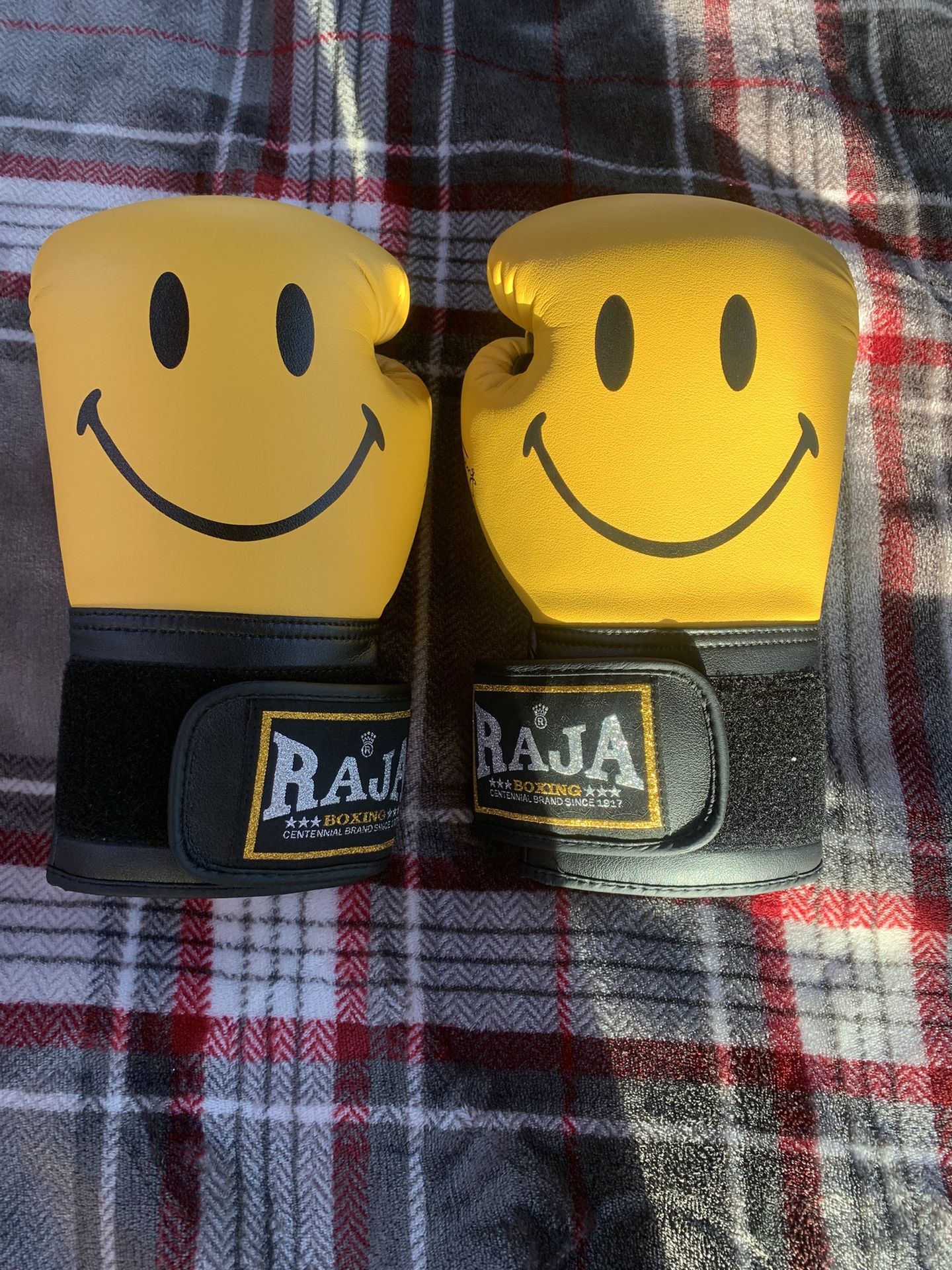 Raja NEW Boxing Gloves