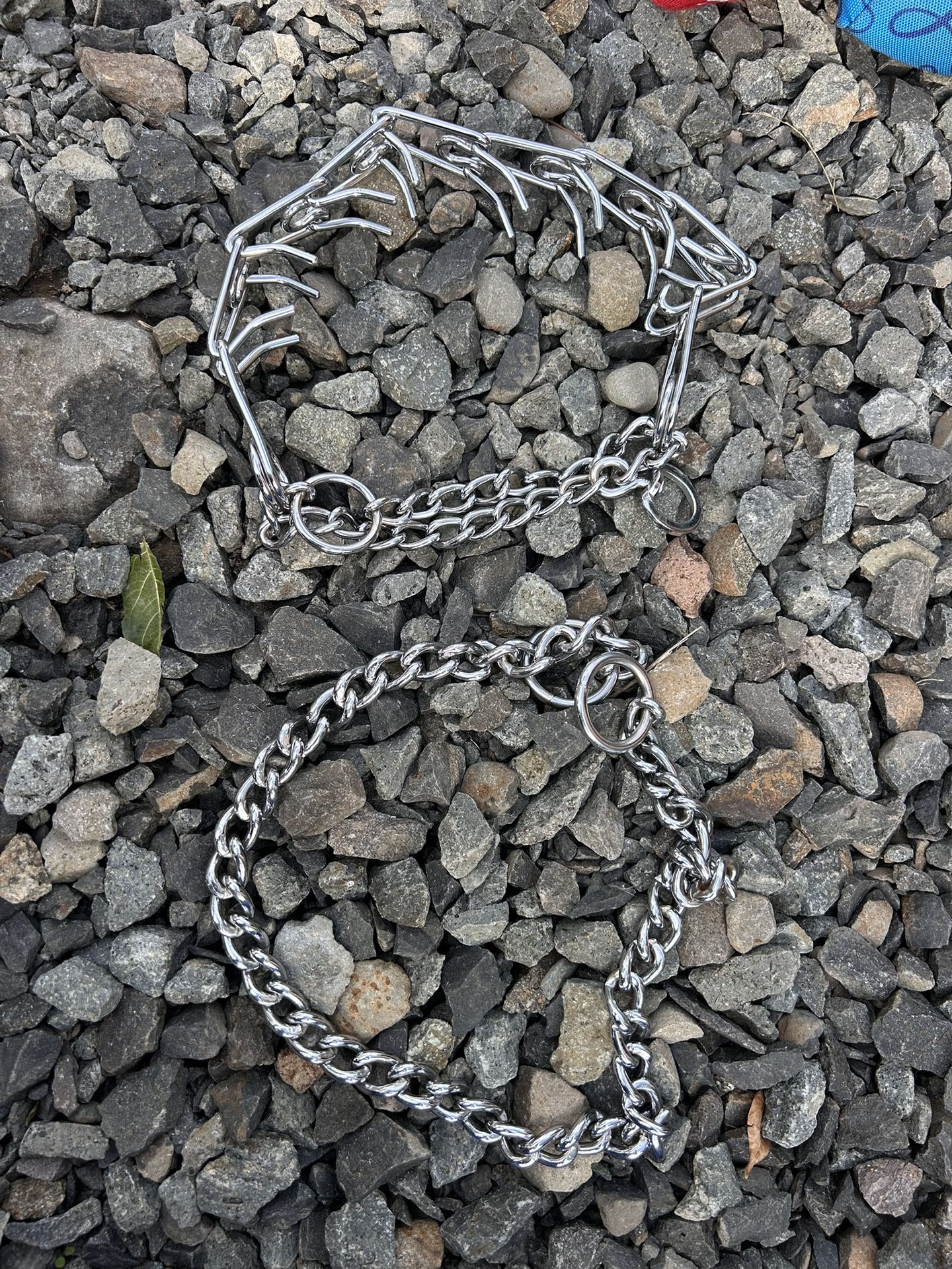 Dog Collar For Training