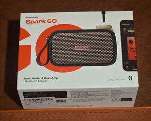 Positive Grid Spark GO