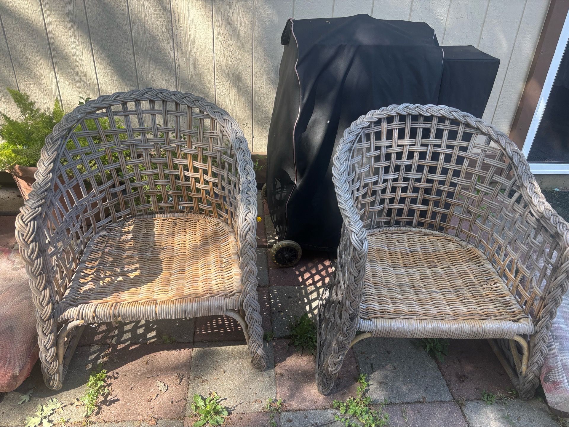 Wicker chairs