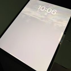 13 Inch iPad Pro M4 W Cellular