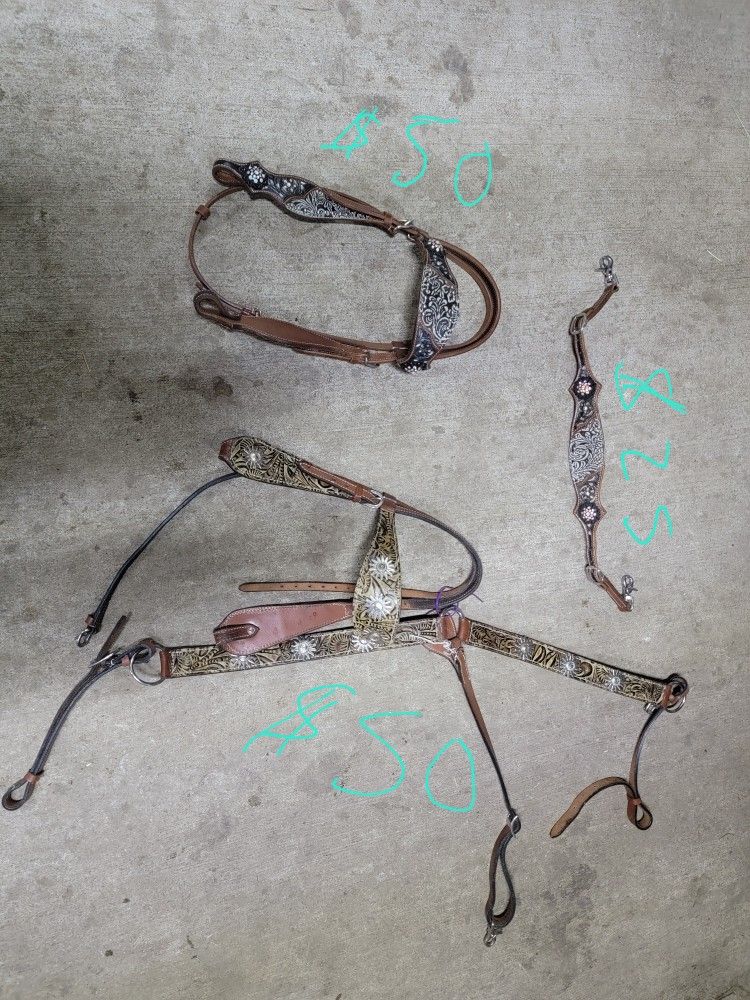 Tack room Cleanout